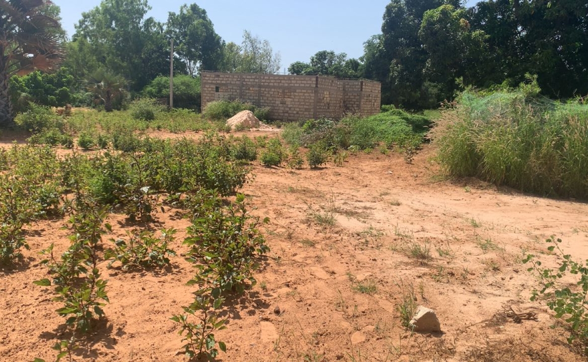Lot de 13 parcelles de 200m2 à Yenn Sérère