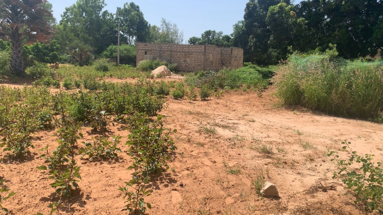 Lot de 13 parcelles de 200m2 à Yenn Sérère