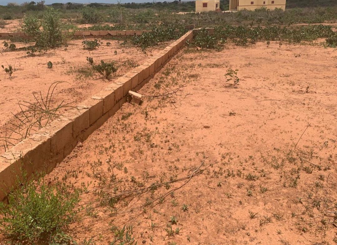 Lot de 27 parcelles de 300m2 à sandiara